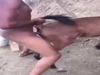 BBC fucking a horse anal sex